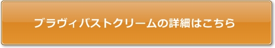 ブラヴィバストクリーム詳細